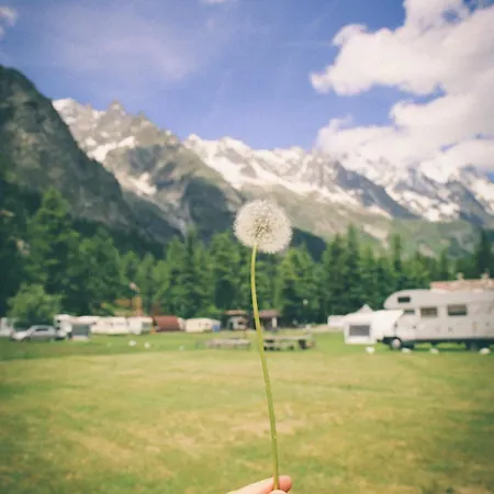 Camping Aiguille Noire * Курмайор