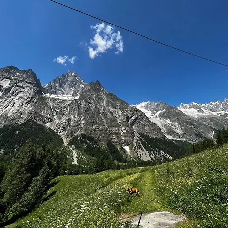 Camping Aiguille Noire * Курмайор