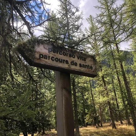 Aiguille Noire Kamp alanı Courmayeur